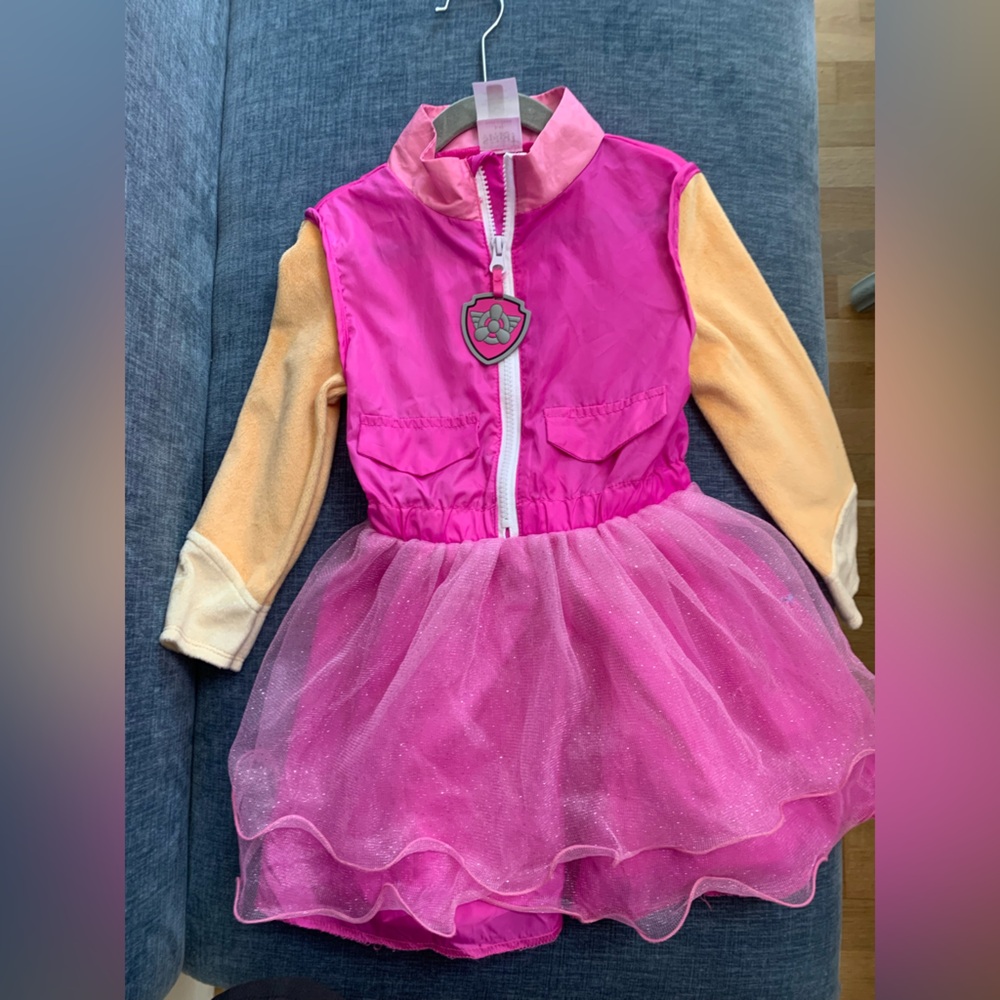 Paw Patrol Skye Costume